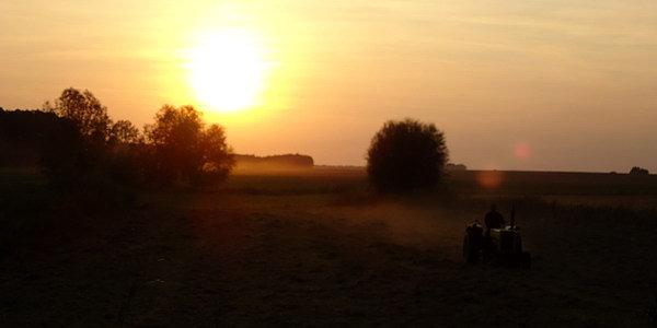 Rolnik na polu o zachodzie słońca