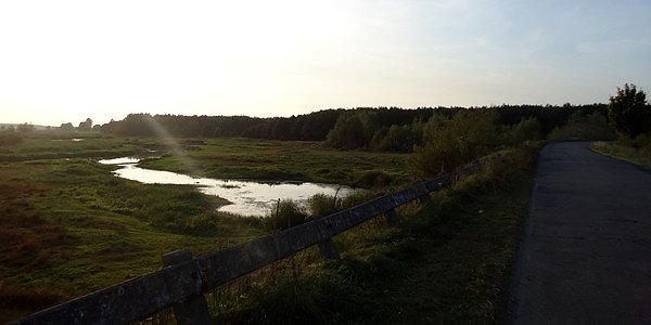 Dolina rzeki Narew w okolicach wsi Doktorce