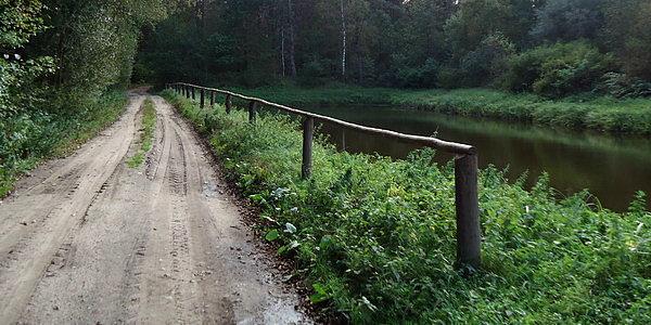 Przez las wzdłuż granicy polsko-białoruskiej z Koterki do Niemirowa