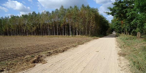 Żwir