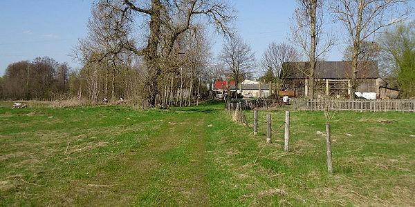 Wólka Nadbużna