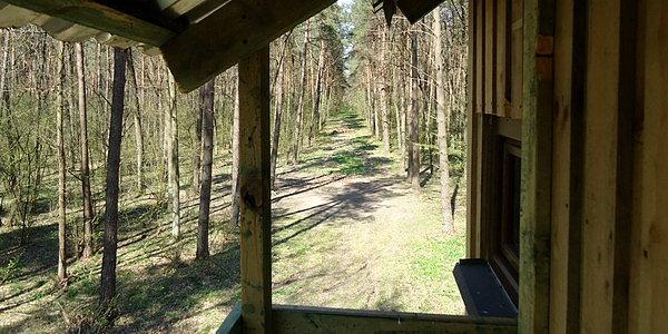 Leśnictwo Serwin. Widok z wiaty myśliwskiej