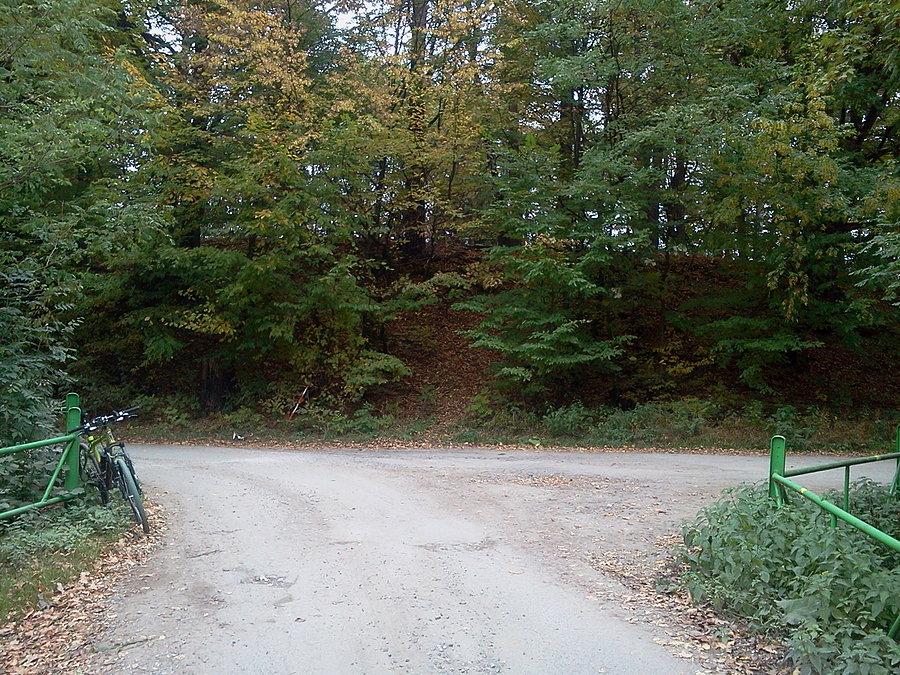 Gródek w Basce