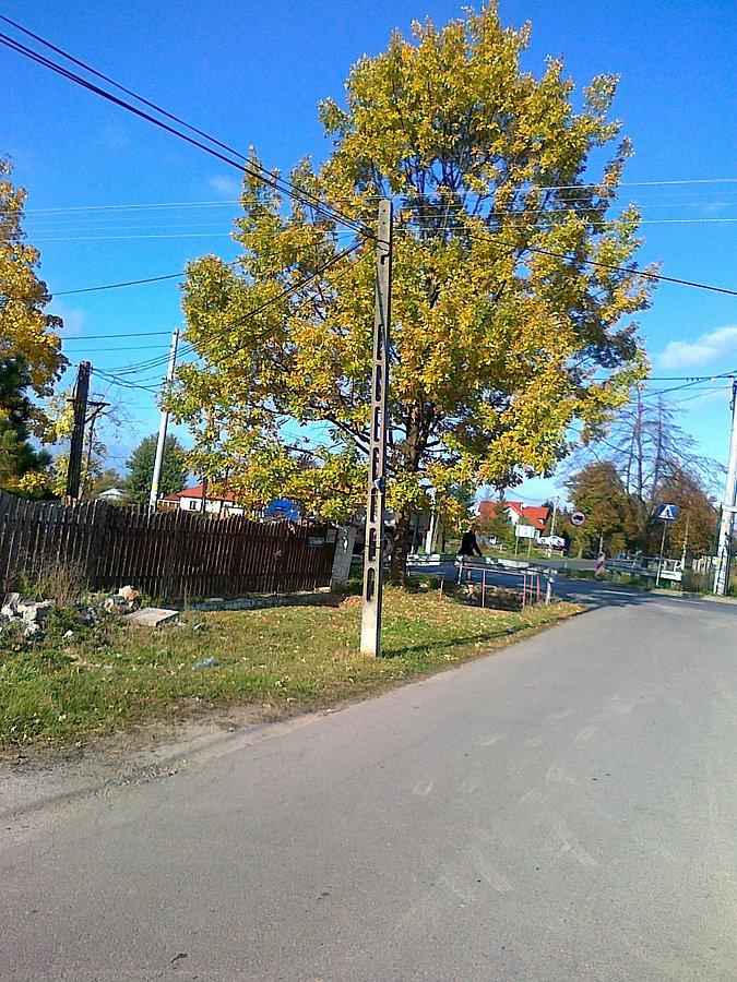 Barwy jesieni