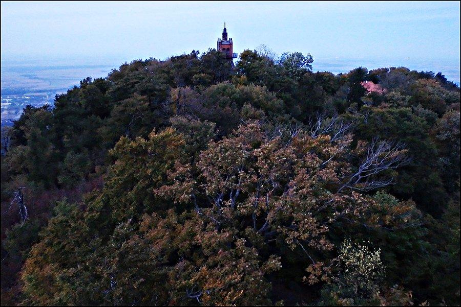 Widok z wieży widokowej na sczczyt Ślęży