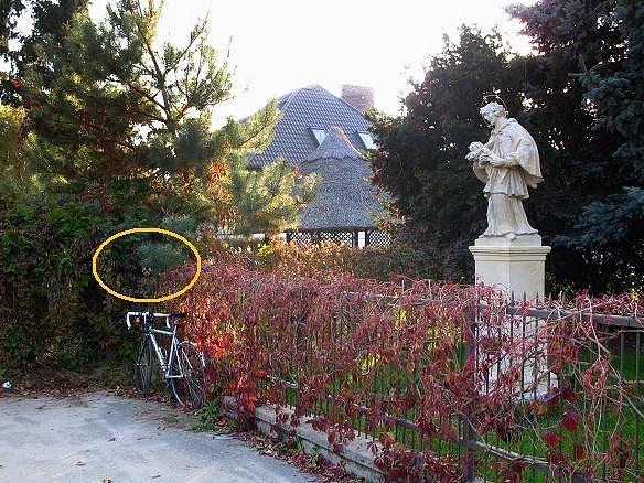 Nepomuk z Lesznowoli. Ostatnia rewitalizacja zostałą przeprowadzona w tym rokudtąd jego dokonały wygląd. w zaznaczonych krzakach niestety nie sposób było dojrzeć czy kod jest czy go nie ma