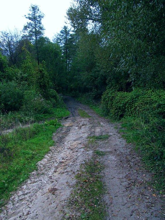 Lekki, błotnisty podjazd