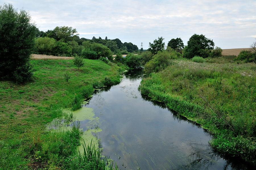Drawa koło Rzęśnicy