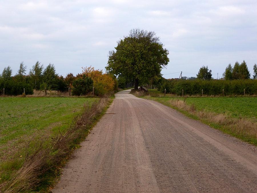 Na skróty przez sady do Wtelna