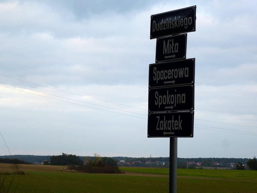 Miło, spokojnie, spacerowym tempem... tylko co z tym Dudzińskim?
