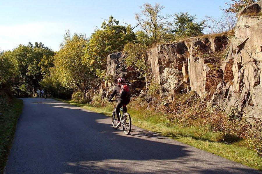 Rowerzyści na wyspie Knösö