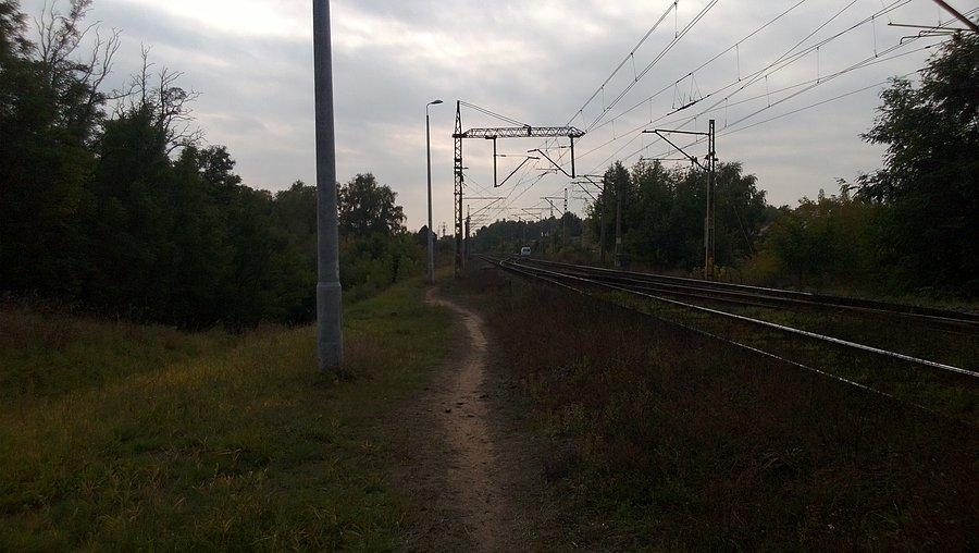 Gruszczyn - Zieliniec