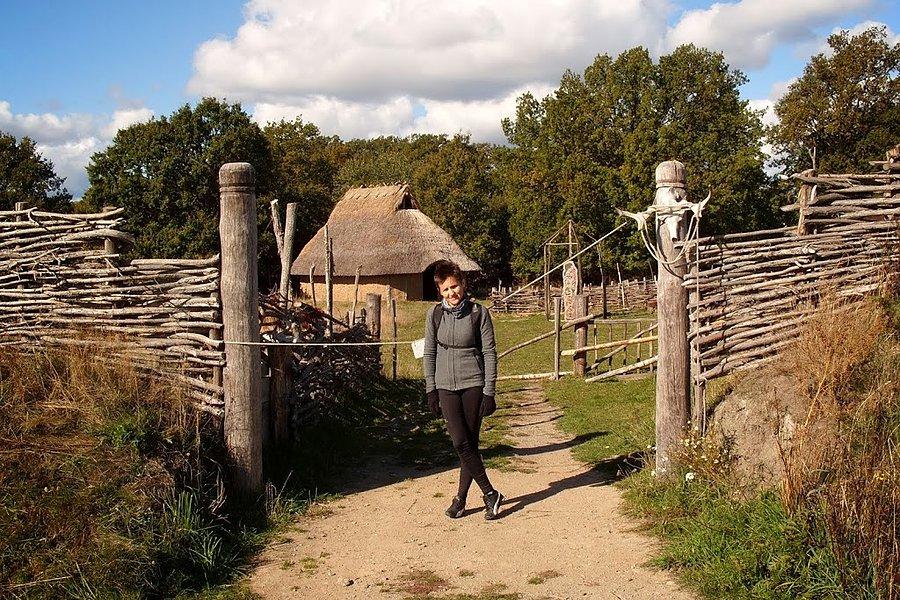 Obóz Vikingów - wyspa Senoren