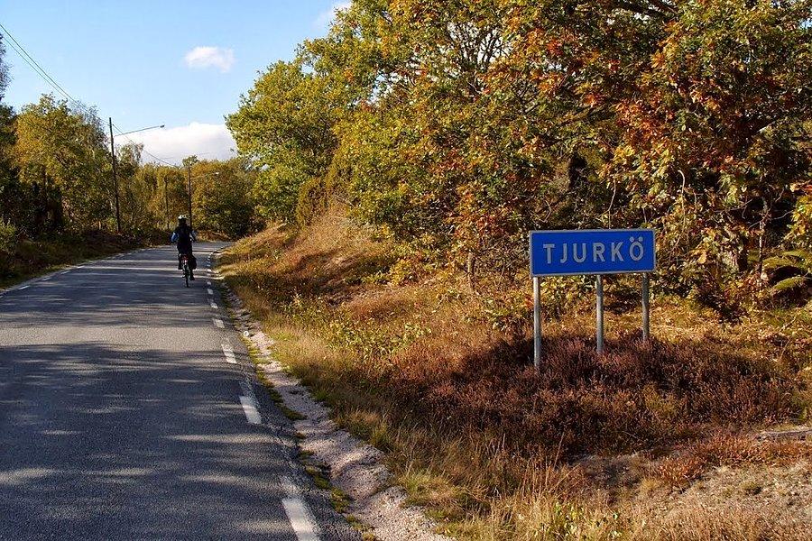 Jesteśmy na wyspie Tjurkö