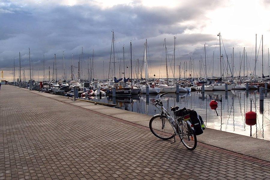 Marina w Gdyni