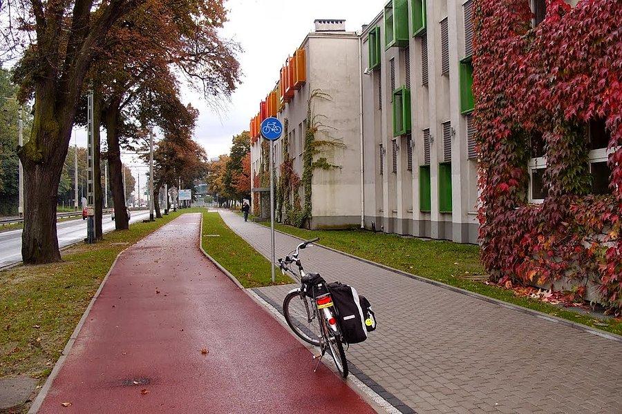 Ścieżka rowerowa w Gdyni