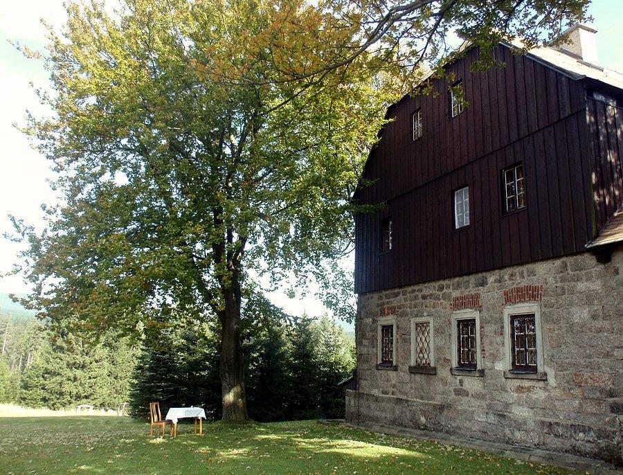 Przy schronisku
