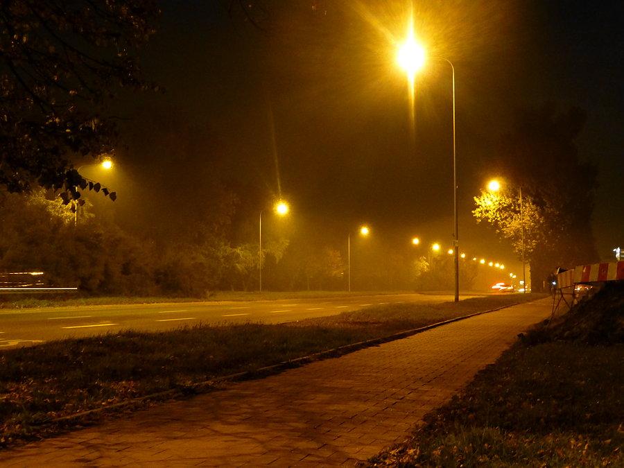 Zamglona dolna Warszawa