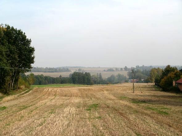 Pola w Iżycach