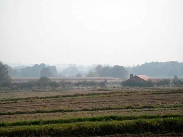Zamglona Bychawka
