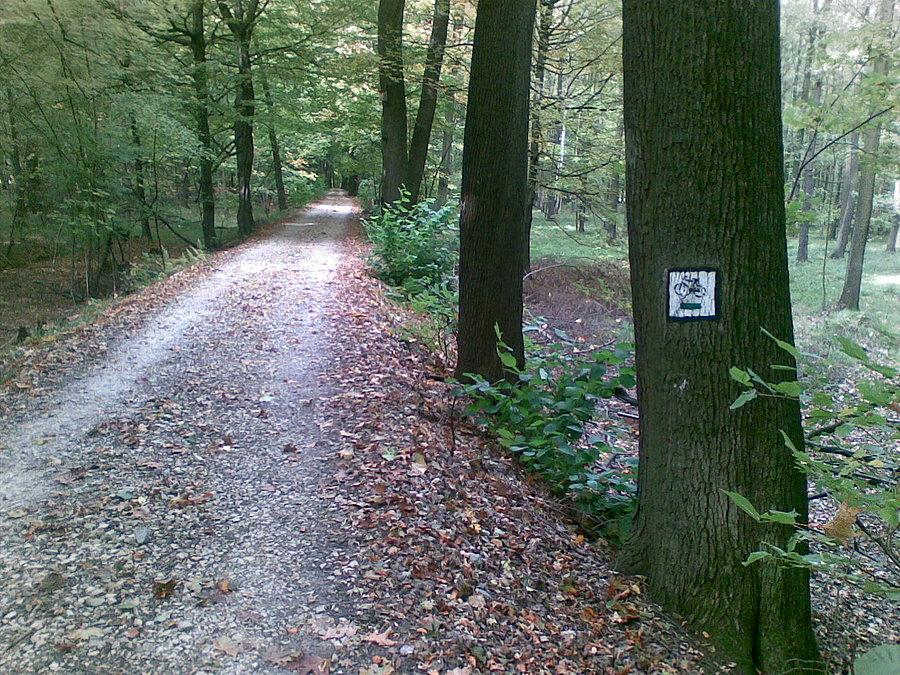 Trakt Cesarsko-Pruski