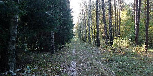 Projektowany szlak nie może tędy biec. Ciekawe czemu?