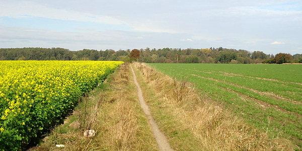 Tędy w latach 1917-1971 biegł szlak kolejki wąskotorowej Bialskiej Kolei Dojazdowej