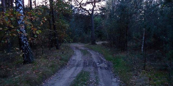 Nieopodal dawnej leśniczówki Rudka