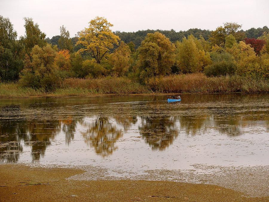 Nogat jesienią