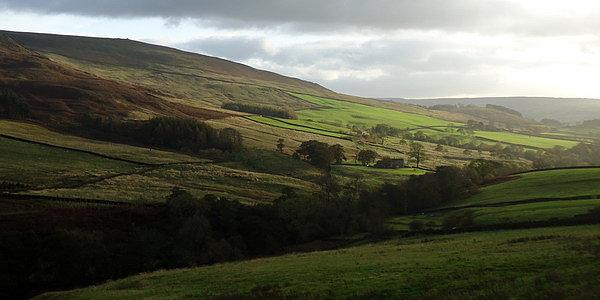 Yorkshire Dales National Park w okolicach Hill End