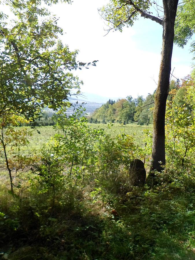 Widok na Nowe Mesto pod Smyrkiem
