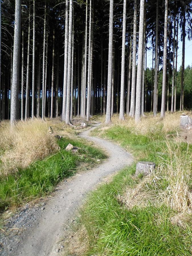 Singletrack
