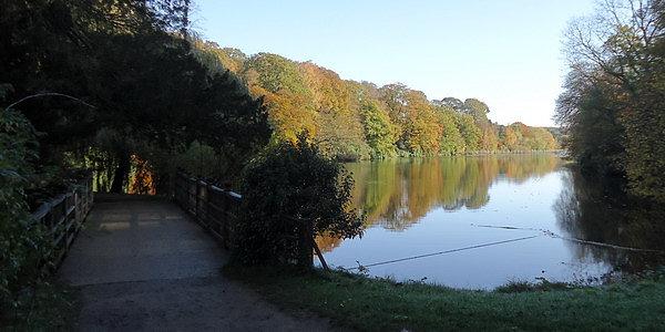 Harewood. Jezioro Fish Pond