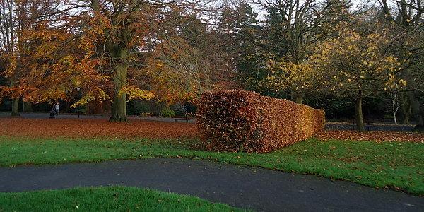 The Valley Gardens