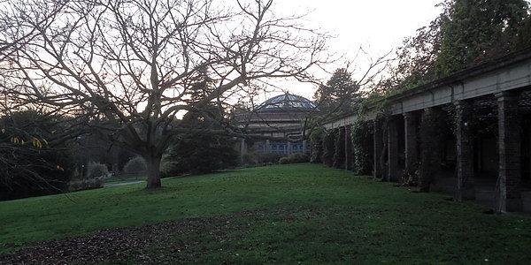 The Valley Gardens
