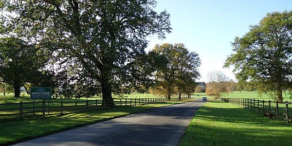 Welcome to Harewood