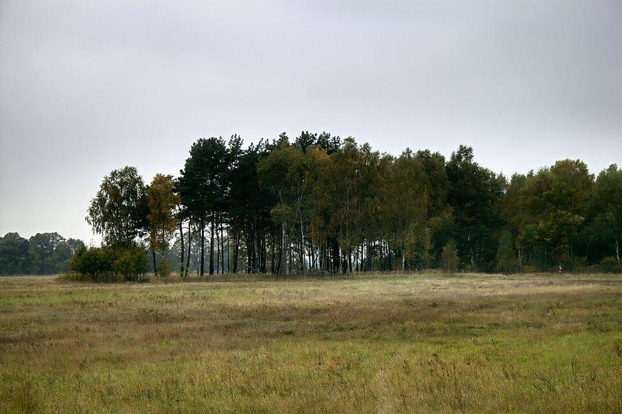Przydrożne widoki