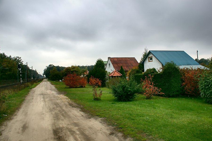 Ogródki działkowe przy torach