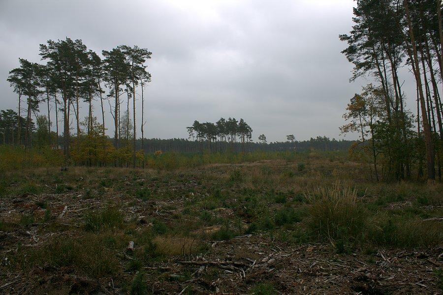 Przydrożne widoki