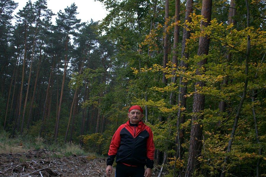 Na leśnej dróżce