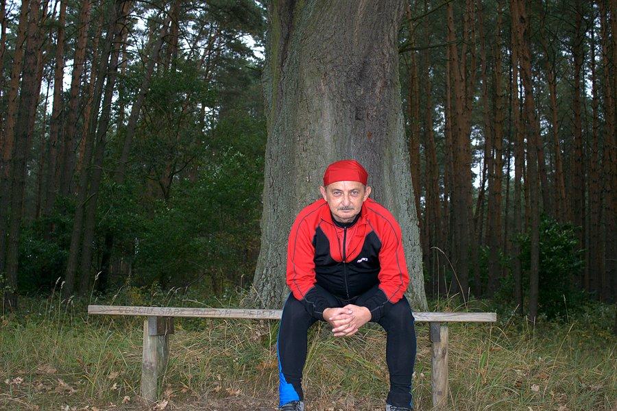 Krótka przerwa na ławce pod dębem
