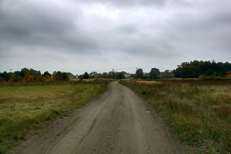 Dalej do Wielgowa