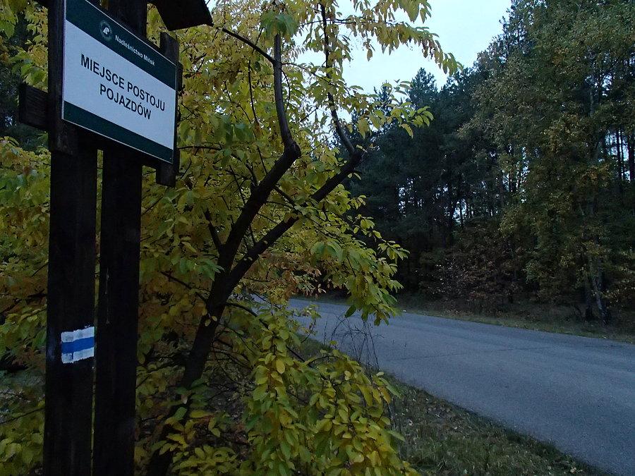 Szlak przechodzi obok sosny/parkingu