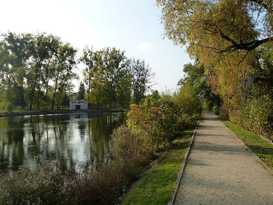 TKKF Orzeł
