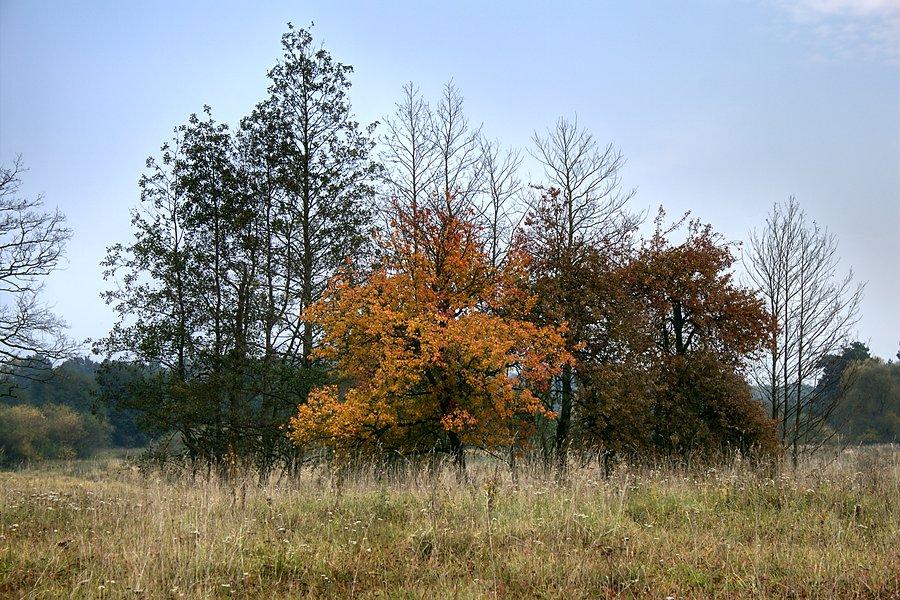 Przydrożne widoki