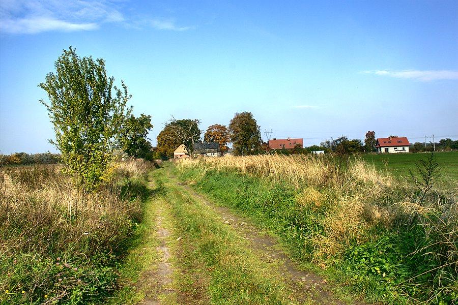 W oddali Dobrosławiec