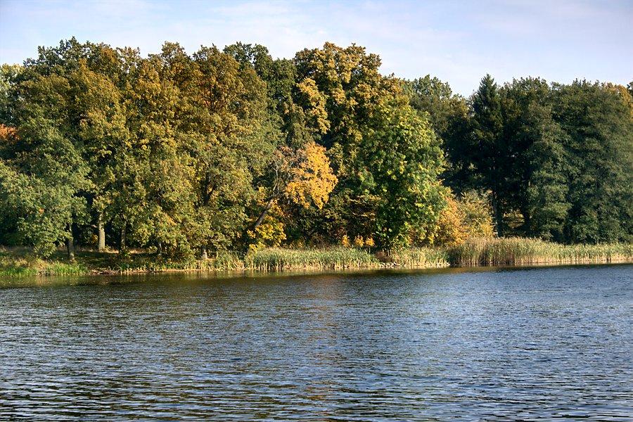 Staw w Radzanku
