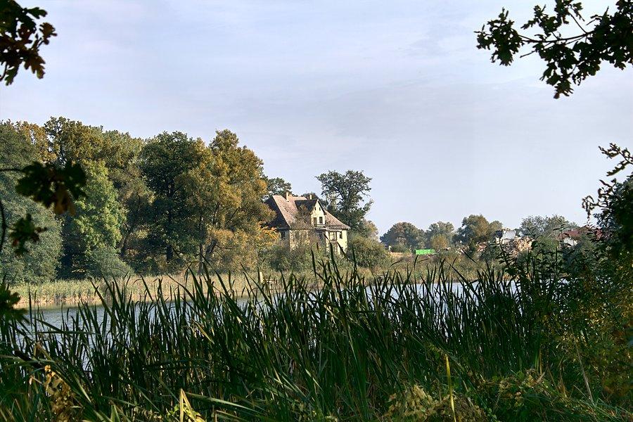 Staw w Radzanku
