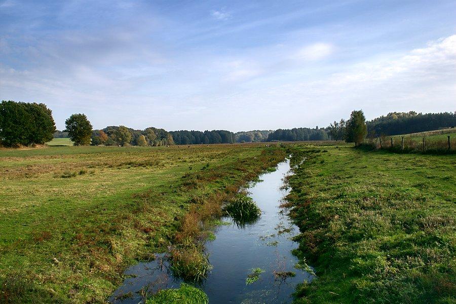 Jakaś rzeczka za Radzonką