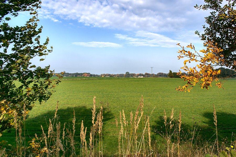 Przydrożne widoki